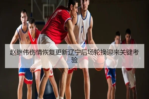 赵继伟伤情恢复更新辽宁后场轮换迎来关键考验