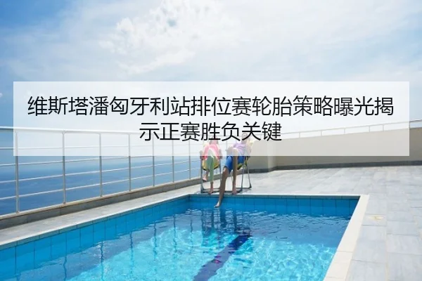 维斯塔潘匈牙利站排位赛轮胎策略曝光揭示正赛胜负关键