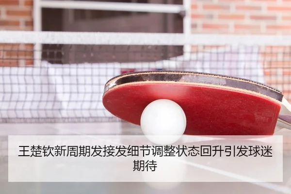 王楚钦新周期发接发细节调整状态回升引发球迷期待